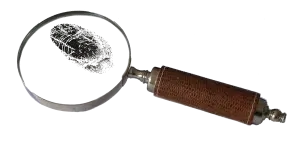 Our Managed Security Services