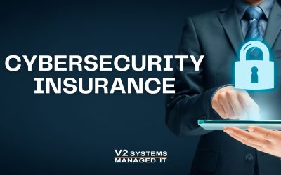 Cybersecurity Insurance: What Small Businesses Need to Know in 2024